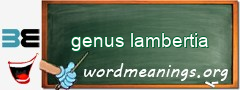 WordMeaning blackboard for genus lambertia